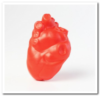 MAN-009 Heart With Vein